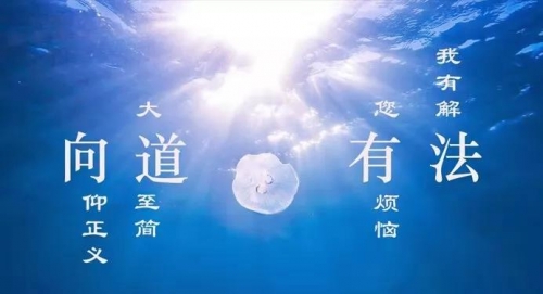 向道有法128丨车辆挂靠运营中的法律关系及风险
